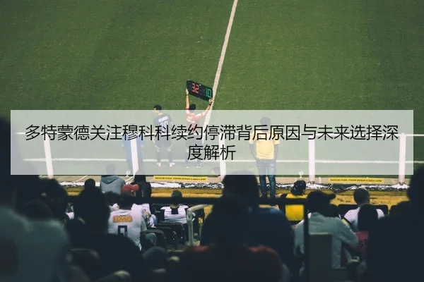多特蒙德关注穆科科续约停滞背后原因与未来选择深度解析